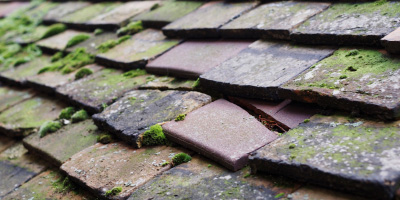 Enville roof repair costs